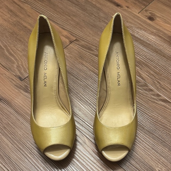 ANTONIO MELANI Shoes - ANTONIO MELANI Women's Elegant Gold Peep Toe Heels